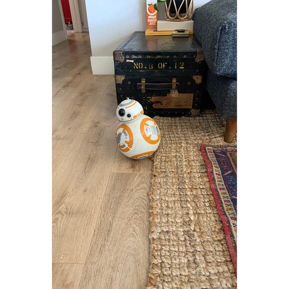 Preowned Star Wars BB-8 Robot *NO REMOTE - Picture 8 of 8